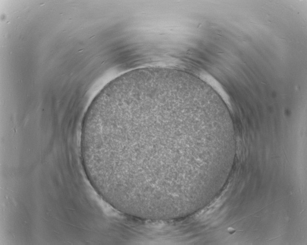 X0000088071099200706011507