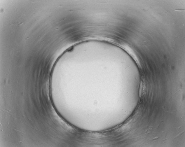 X0000088071100200706011507