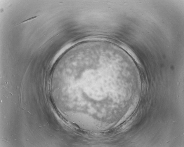 X0000088071101200706011507