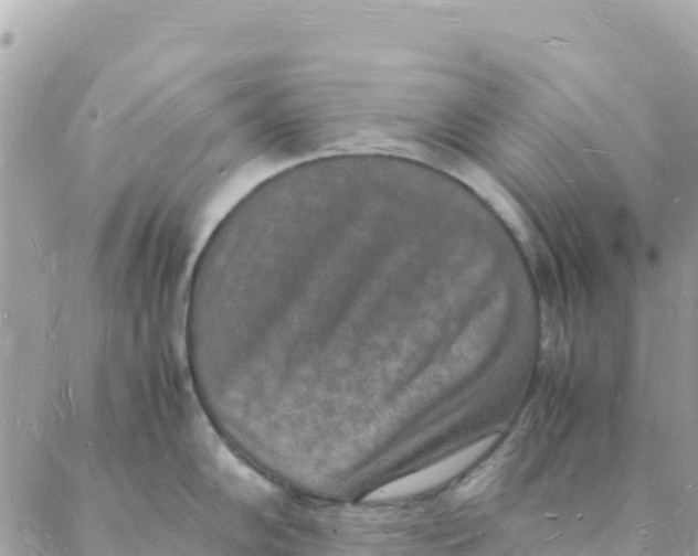 X0000088071102200706011507