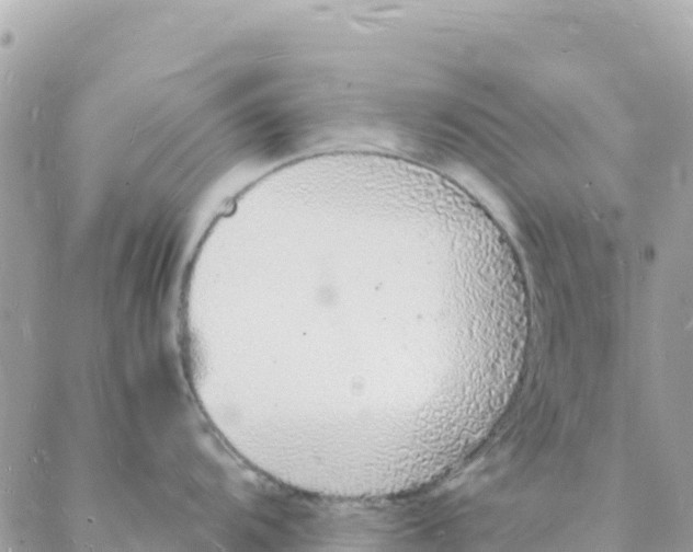 X0000088071104200706011507