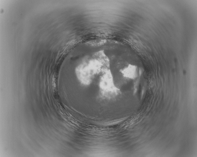 X0000088071106200706011506