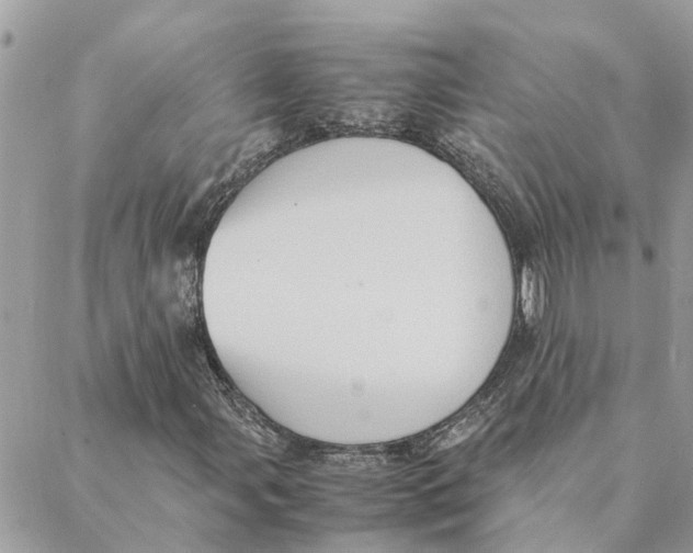 X0000088071107200706011506