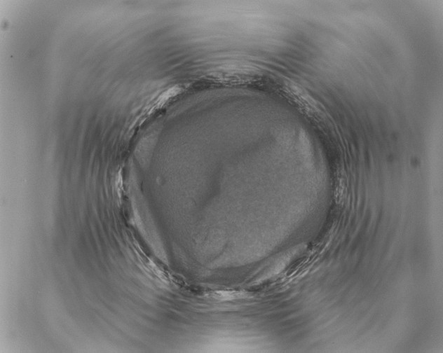 X0000088071108200706011506