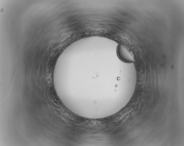 X0000088071109200706011506