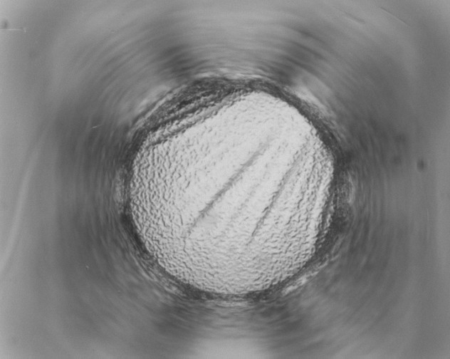 X0000088071110200706011506