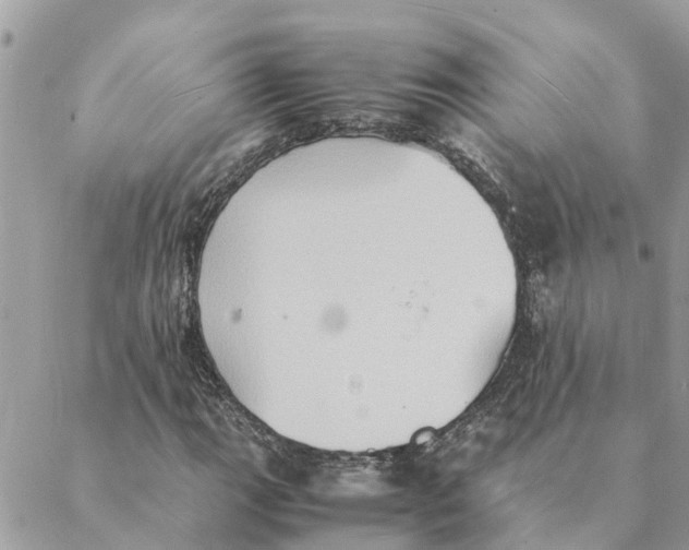 X0000088071111200706011506