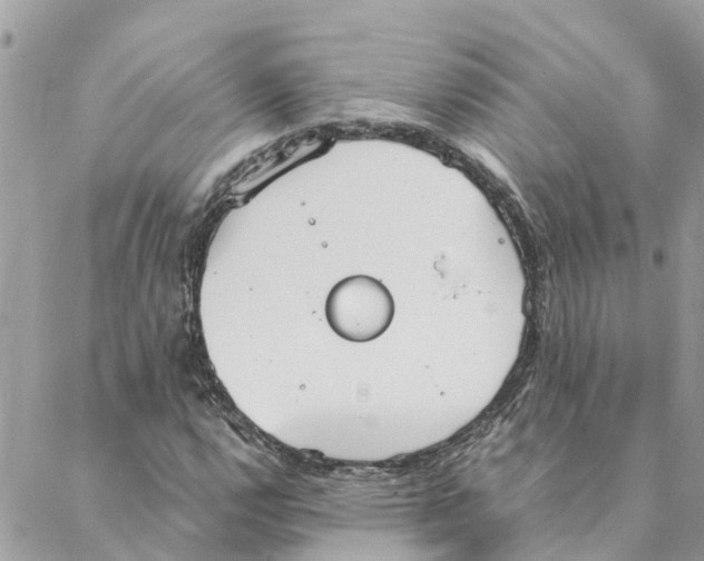 X0000088071112200706011506