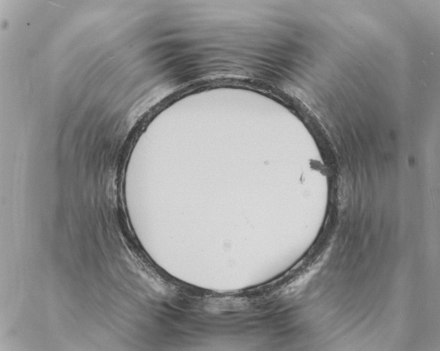 X0000088071113200706011506