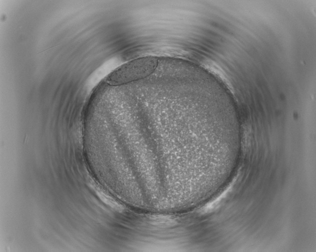 X0000088071114200706011507