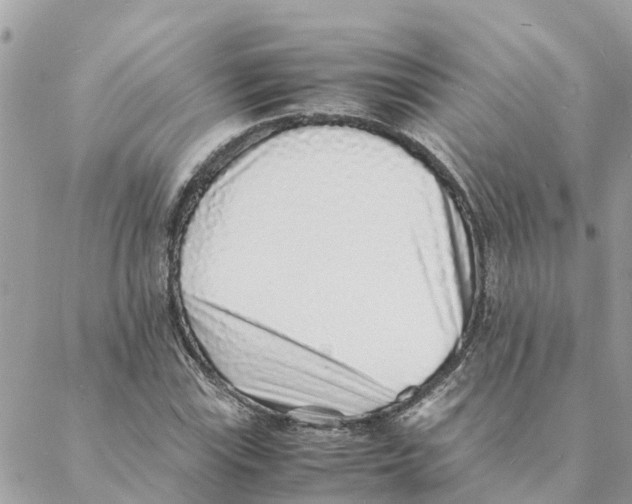 X0000088071115200706011507