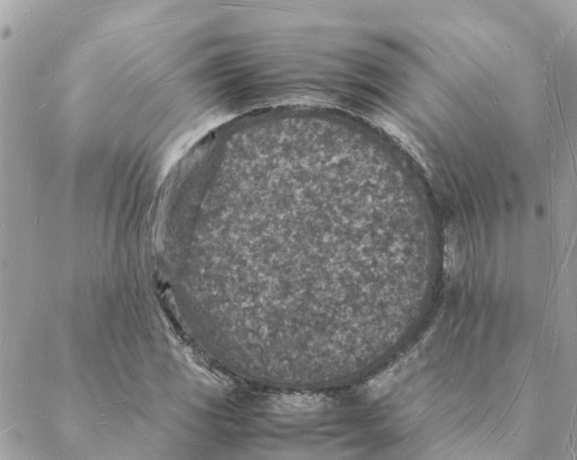 X0000088071117200706011507