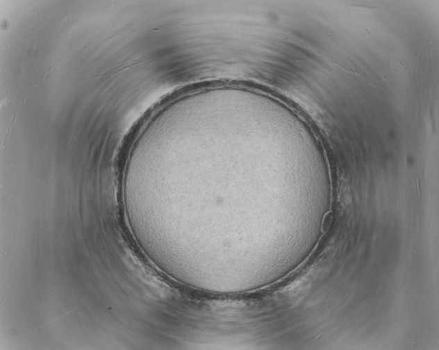 X0000088071118200706011507