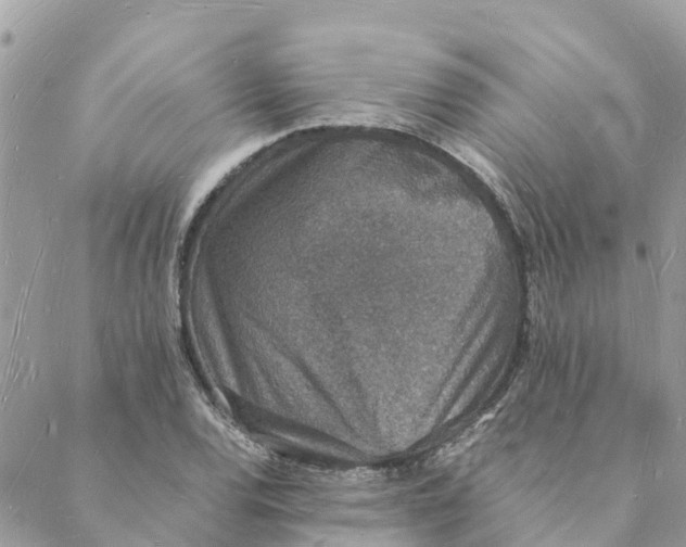 X0000088071120200706011507