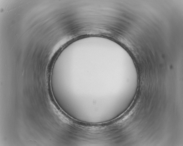 X0000088071122200706011507