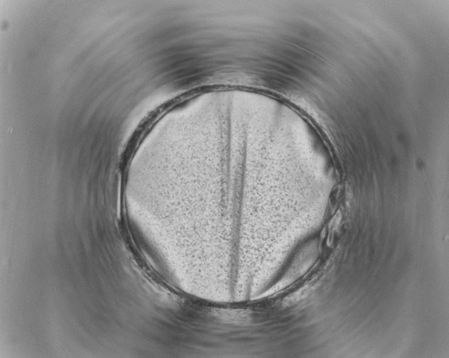 X0000088071123200706011507