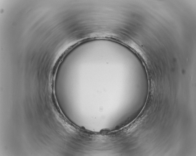 X0000088071124200706011507