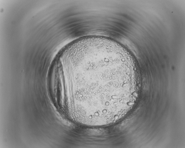 X0000088071125200706011507