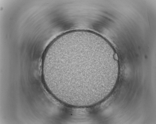 X0000088071126200706011507