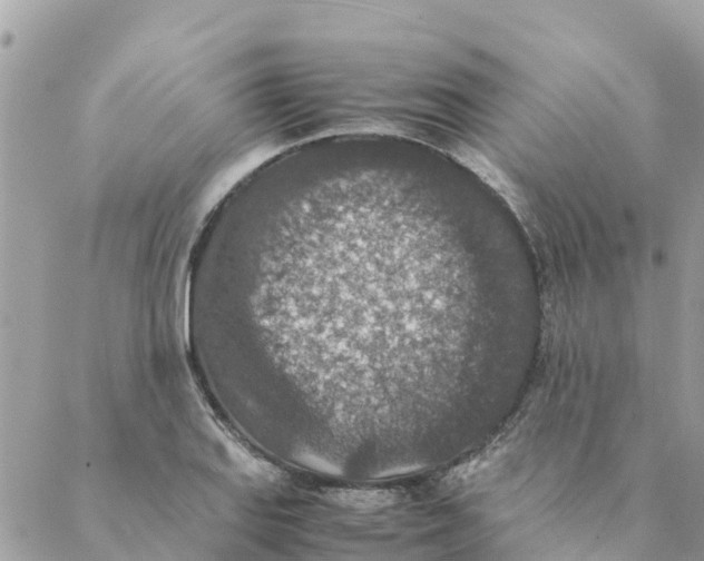 X0000088071127200706011507