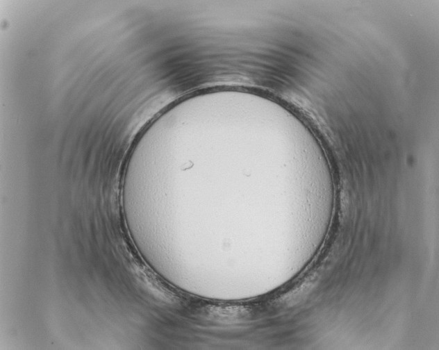 X0000088071129200706011507