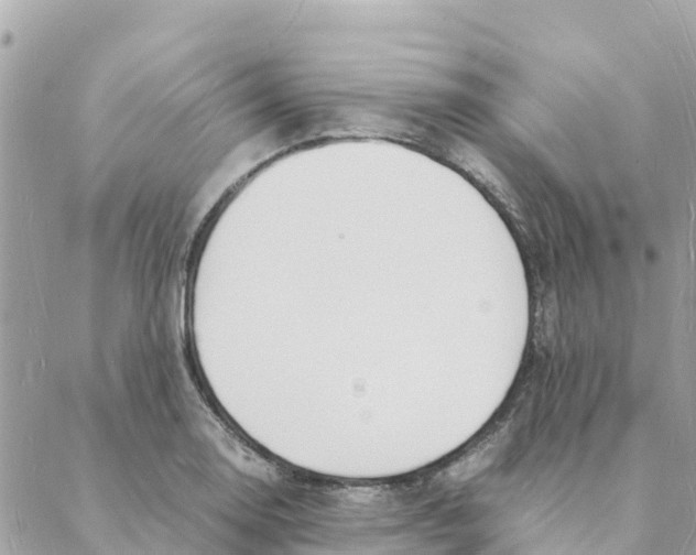 X0000088071130200706011507