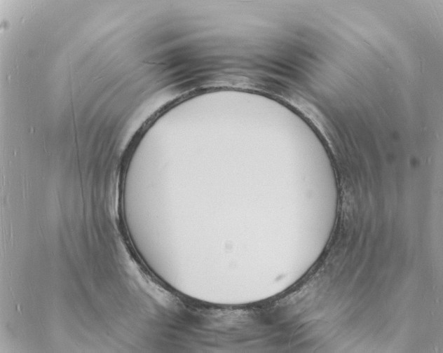 X0000088071131200706011507