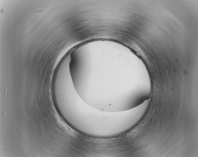 X0000088071132200706011507