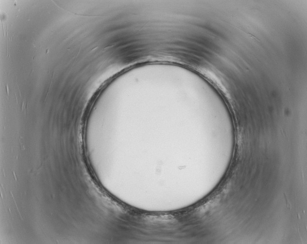 X0000088071133200706011507