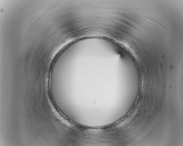 X0000088071134200706011507