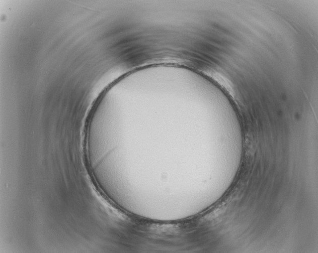 X0000088071135200706011507