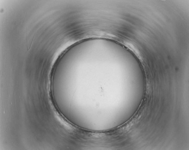 X0000088071136200706011507