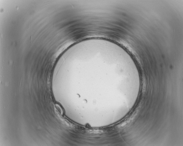 X0000088071137200706011507