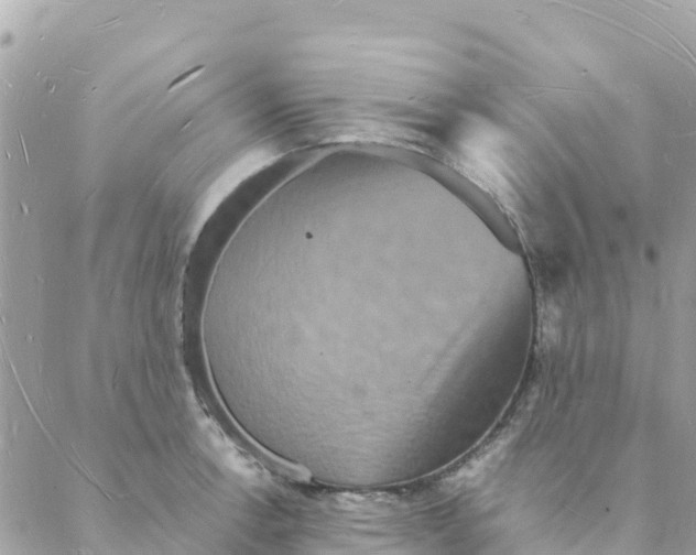 X0000088071138200706011507