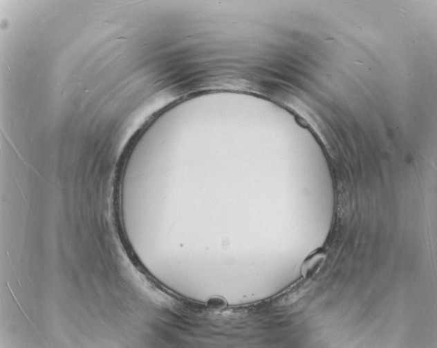 X0000088071139200706011507