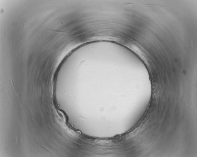 X0000088071140200706011507