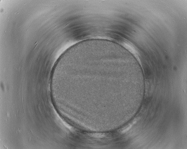 X0000088071141200706011507