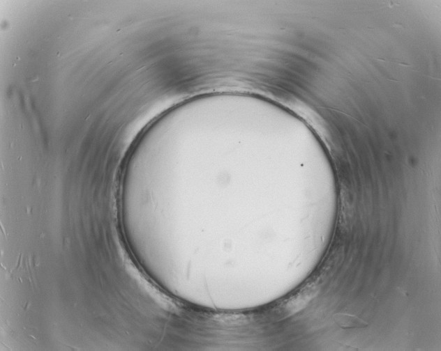 X0000088071142200706011507