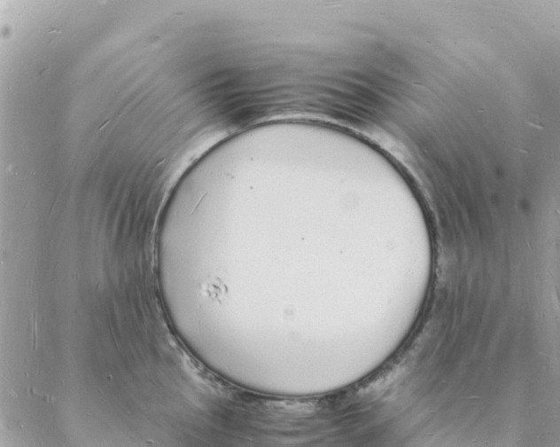 X0000088071145200706011507