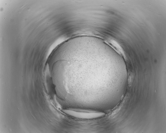 X0000088071146200706011507