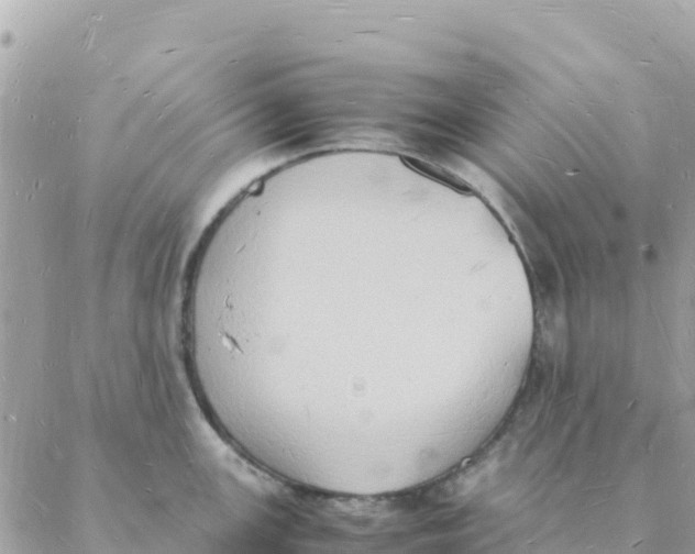 X0000088071147200706011507