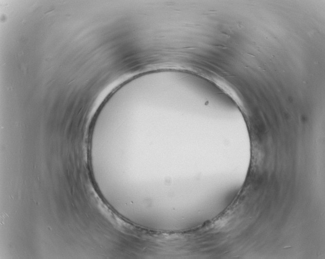 X0000088071148200706011507