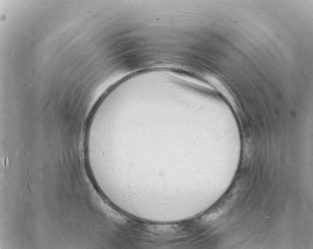 X0000088071149200706011507