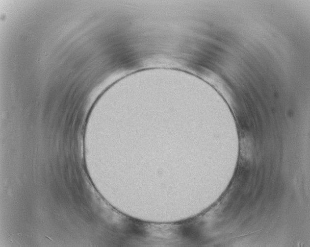 X0000088071150200706011507