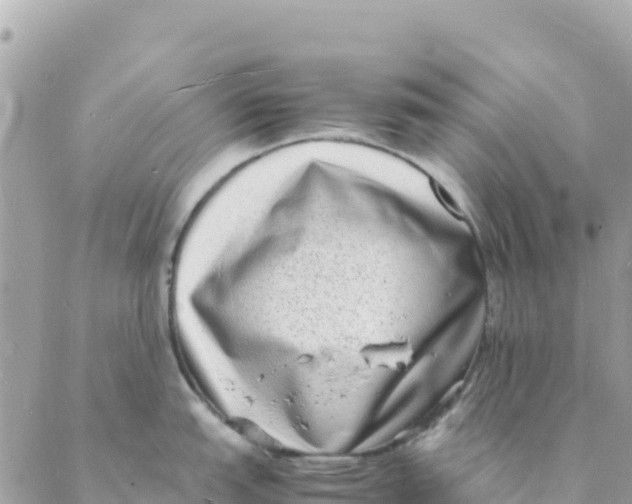 X0000088071151200706011507