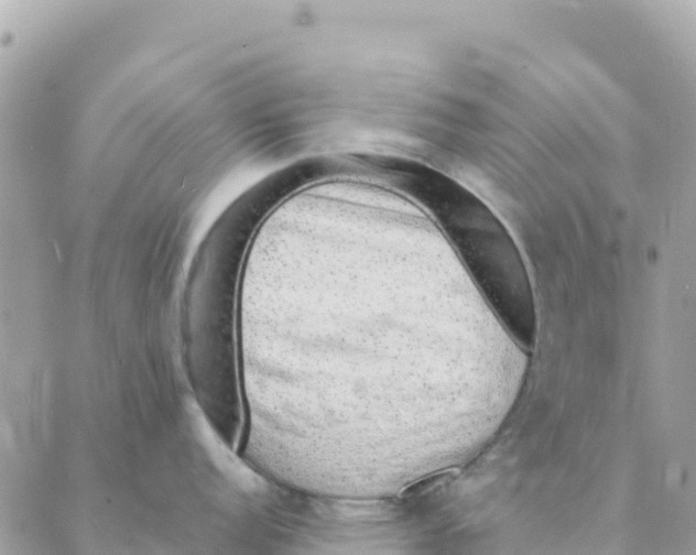 X0000088071152200706011507