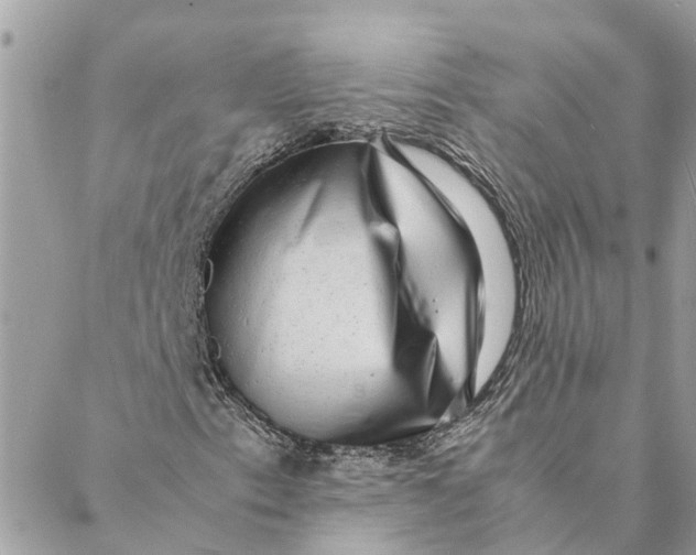 X0000088071153200706011506