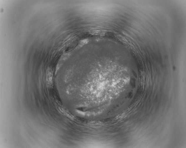 X0000088071154200706011506