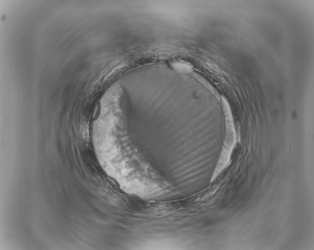 X0000088071155200706011506