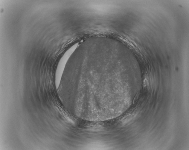 X0000088071156200706011506